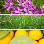 Millefiori Reed Diffuser 100 ml LEMON GRASS