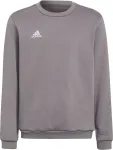 Adidas Sweatshirt for kids Entrada 22 Sweat Top gray H57477 116cm