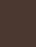 Inebrya Bionic Color 4/0 Chestnut 100ml - Hair Color uniseks