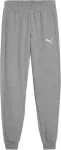 PUMA Team Goal Kids' Pants Grey 658601 33 152cm