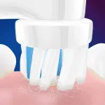 Hambahari Oral-B Kids Frozen, 2