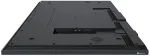 Monitor AG NEOVO 43 cale NSD-4303 VA 4K UHD 3xHDMI 2xUSB2.0 1xRS-232 1xRJ-45LAN SPEAKERS ANDROID LANDSCAPE PORTRAIT 24/7