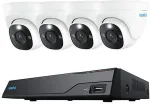 Reolink NVS8-8MD4 (1x NVR with 2TB, 4x PoE 8 MP surveillance camera)