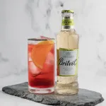 BRITVIC Karastusjook, , Ginger ale, 200 ml, 24 tk