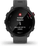 Garmin Forerunner 55 MIP 42 mm Digital 208 x 208 pixels Touchscreen Grey GPS (satellite)