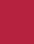 Shiseido ColorGel Lip Balm 106 Redwood 2g - Lipstick naistele