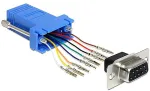 DELOCK Serieller Adapter - RJ-45 (W) bis DB-9 (W)