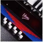 V-tone ZENEK BK accordion for children learning and fun