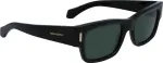 Ferragamo P&auml;ikeseprillid MEESTELE SF2011S-001 (L&auml;&auml;ts/Sild/Tagaosa) 53/21/140 mm