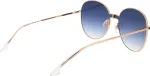 ANA HICKMANN P&auml;ikeseprillid NAISTELE HI3153-14005A (L&auml;&auml;ts/Sild/Tagaosa) 140//142 mm)