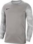 Nike Dry Park IV JSY LS GK Men's Goalkeeper Sweatshirt grey CJ6066 052 2XL