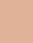 Shiseido Sun Protection Tanning Compact Foundation Natural 12g - SPF10 Makeup naistele