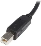 StarTech.com USB2.0 A-auf-B-Kabel - Stecker/Stecker - USB-Kabel - USB Typ A, 4-polig (M) - USB Typ B, 4-polig (M) - 3,0m (USB/USB2.0) - Schwarz (USB2HAB3M)