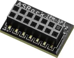 Asrock TPM-SPI bulk