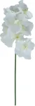 Home4you Orhidee FLOWERLY H60cm, mix