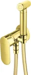 Deante Concealed bidet mixer with bidetta shower head