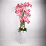 Home4you Orhidee GARDEN QUEEN H132cm, roosa
