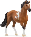 SCHLEICH HORSE CLUB Mangalarga Marchador t&auml;kk