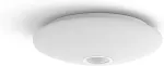 PHILIPS Functional Mauve Ceiling Light 16 W