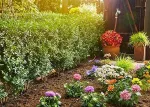 Gardena Micro-Drip Start Set Row of Plants S