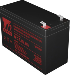 T6 POWER Battery NP12-9, 12V, 9Ah, F2