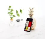 IKins SmartPhone case iPhone 11 Pro mondrian black