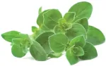 Click & Grow Smart Garden refill Pune 3tk