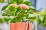 Gardena Micro-Drip-System L-piece 4.6mm (3/16), connection (dark grey, 10 pieces, model 2023)