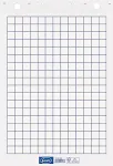Forofis Tahvlipaberiplokk 60x85cm, 50 lehte ruuduline