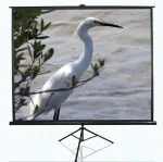 Elite Screens | Tripod Series | T120UWV1 | Diagonal 120 " | 4:3 | Viewable screen width (W) 244 cm | Black