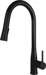 Deante Kitchen faucet with pull-out spout