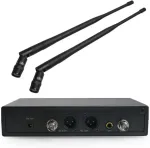 DNA PROFESSIONAL VM Dual Head Set - wireless microphone system