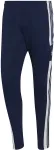 Adidas Squadra 21 Training Pants navy blue HC6273 S