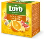 Loyd Tee ingveri- ja tsitrusemaitseline 20 x 2g
