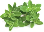 Click & Grow Smart Garden refill Majoraan 3tk