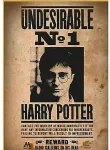 Thumbs up! ThumbsUp! Puzzle Harry Potter "Wanted No.1" 50Teile