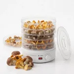 Blow Mushroom, vegetable and fruit dryer 500W FD-01