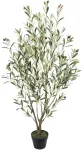Home4you Kunstpuu WIND OLIVE H130cm