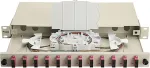 EQUIP LWL-Splei&szlig;kasten 12-Port SC-Duplex OM4 1U komplett gr
