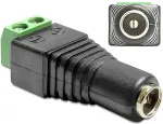 DELOCK Adapter Terminalblock 2Pin -> DC 2,1 x 5,5mm Buchse