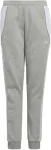 No name Children's pants adidas Tiro 24 Sweat grey IS1009 128cm