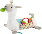 Mattel Fisher-Price GHJ03 learning toy