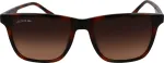 Lacoste P&auml;ikeseprillid MEESTELE L6041S-214 (L&auml;&auml;ts/Sild/K&otilde;rvaklamber) 54/18/145 mm