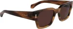 Ferragamo P&auml;ikeseprillid MEESTELE SF2010S-319 (L&auml;&auml;ts/Sild/Taldrik) 52/21/145 mm