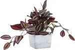 Home4you Kunsttaim GREENLAND H18cm sebralill kandilises potis