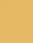 Laka Soothing Vegan Lip Oil Nourishing Yellow 4.5ml - Lip Oil uniseks