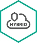 Kaspersky Lab Kaspersky Hybrid Cloud Security Enterprise Server - Erneuerung der Abonnement-Lizenz (1 Jahr) - 1 virtueller Server - Volumen - Stufe E (5-9) - Europa (KL4253XAEFR)