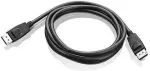Lenovo - DisplayPort-Kabel - DisplayPort (M) bis DisplayPort (M) - 1.8 m - FRU - f&uuml;r ThinkCentre M78, M920, ThinkStation E31, E32, P410, S20, ThinkVision LT1952