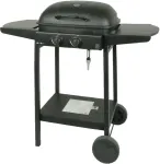 MASTER GRILL Master gas grill 2-burner MG672