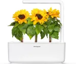 Click & Grow Smart Garden Refill Mini p&auml;evalill 3tk